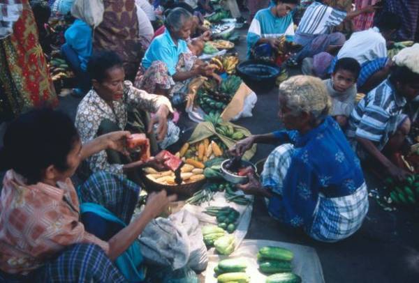 イカットの魅力とその背景にある島の人々の生活文化をたばこと塩の博物館で1月21日(土)～4月9日(日)開催