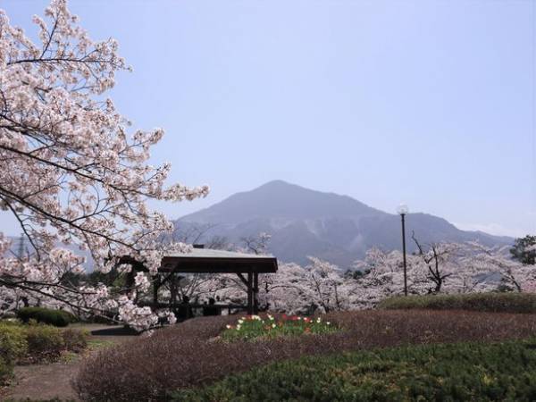 甘くて大きい秩父産いちごをたっぷり堪能！「電車とバスの乗り継ぎ旅　秩父いちご狩りツアー」2/11より開催