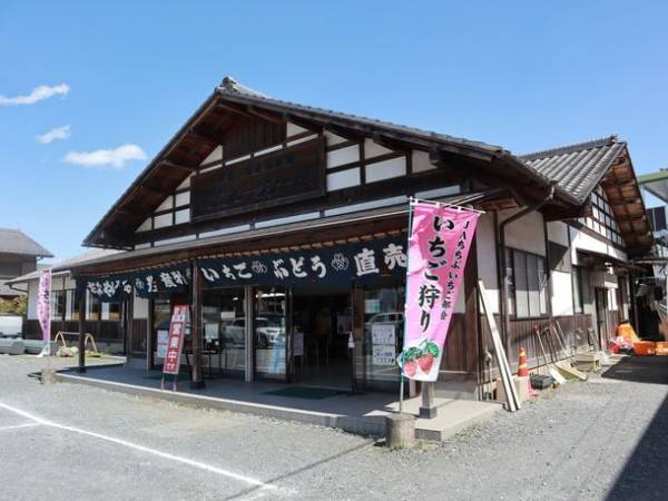 甘くて大きい秩父産いちごをたっぷり堪能！「電車とバスの乗り継ぎ旅　秩父いちご狩りツアー」2/11より開催