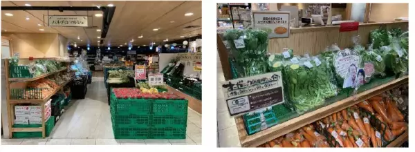 （ご参考）「さくらライナー」での朝採れ野菜の貨客混載輸送の本格運用を開始しました！
