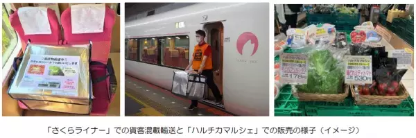 （ご参考）「さくらライナー」での朝採れ野菜の貨客混載輸送の本格運用を開始しました！
