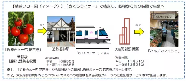 （ご参考）「さくらライナー」での朝採れ野菜の貨客混載輸送の本格運用を開始しました！