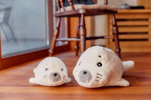 『少年アシベ』35周年記念ゴマちゃんのぬいぐるみ　クラウドファンディングでの予約受付を開始　～開始から1日で500％突破～