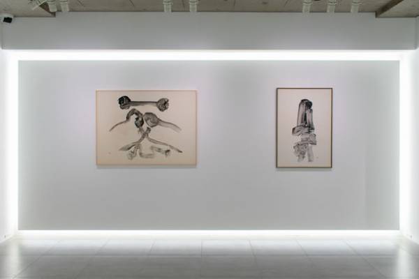 比田井南谷 生誕110年　個展「HIDAI NANKOKU」を2月4日まで会期延長＆「生誕100年 富岡惣一郎 | 白の世界」開催