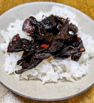 「きくらげ愛の伝道シスターズ」商品シリーズ　ビタミンDが豊富な「きくらげ佃煮」「きくらげジェル」販売開始