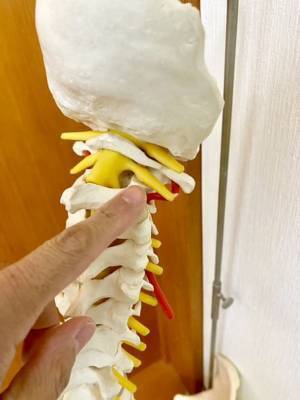 「脊椎調整」施術後の頭痛患者、108人中105人の症状が改善　吉田原整骨院がデータを公開