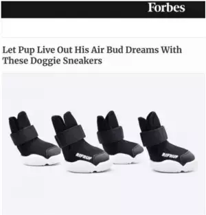 ニューヨーク発、獣医師が監修した防水「犬用多機能レインコート＆シューズ」を1月25日よりMakuakeにて先行販売開始！