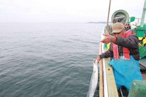 “海鮮の宝庫”千葉が誇る東京湾の海の恵みを食べつくそう特集　千葉の水産物を堪能できるイベントも開催！