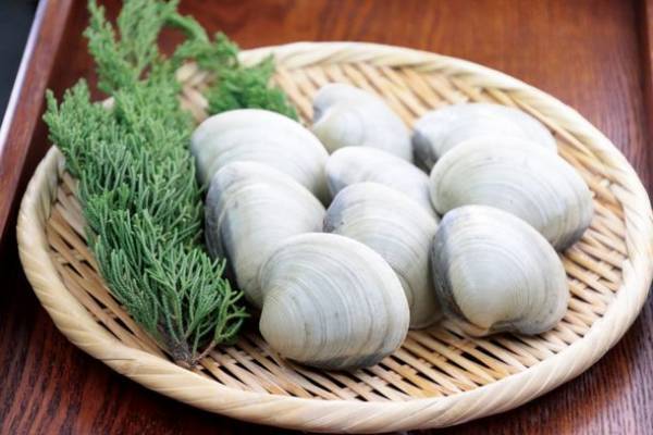 “海鮮の宝庫”千葉が誇る東京湾の海の恵みを食べつくそう特集　千葉の水産物を堪能できるイベントも開催！