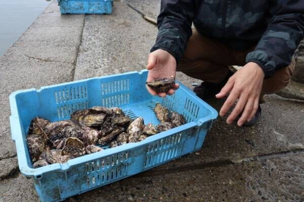 “海鮮の宝庫”千葉が誇る東京湾の海の恵みを食べつくそう特集　千葉の水産物を堪能できるイベントも開催！