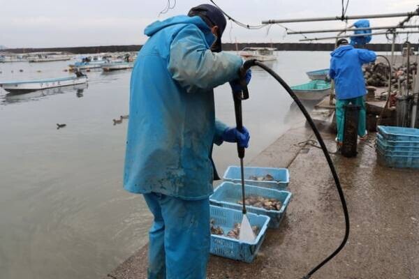 “海鮮の宝庫”千葉が誇る東京湾の海の恵みを食べつくそう特集　千葉の水産物を堪能できるイベントも開催！