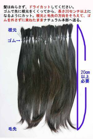 15年以上「地毛で作るウィッグ」を受注販売しているナチュラルが、ウィッグ取り扱い美容室の募集を2月1日より開始