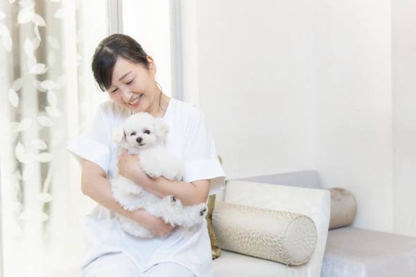 ペットシッターカウンセリングが222円になる「猫の日キャンペーン」を2月28日まで実施