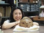 美容考古学研究所のアドバイザーを務める文筆家、譽田亜紀子さんが語る「最新の縄文研究」とは？1月25日(水)に定例サロンを無料開催！