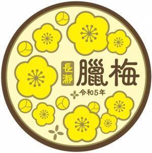 関東一のロケーション　宝登山の臘梅(ロウバイ)が開花　期間限定でライトアップやハイキング等を実施