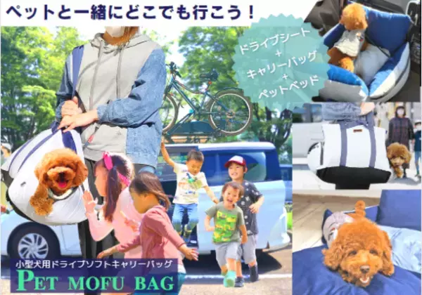 小型犬用ドライブソファキャリーバッグ「PET MOFU BAG」をGREEN FUNDINGで1月11日より先行販売