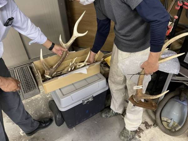 北海道産天然鹿の生え変わりで落ちた角を利用した「火ばさみ」と「ファイアスターター」を1月26日にMakuakeにて先行販売開始