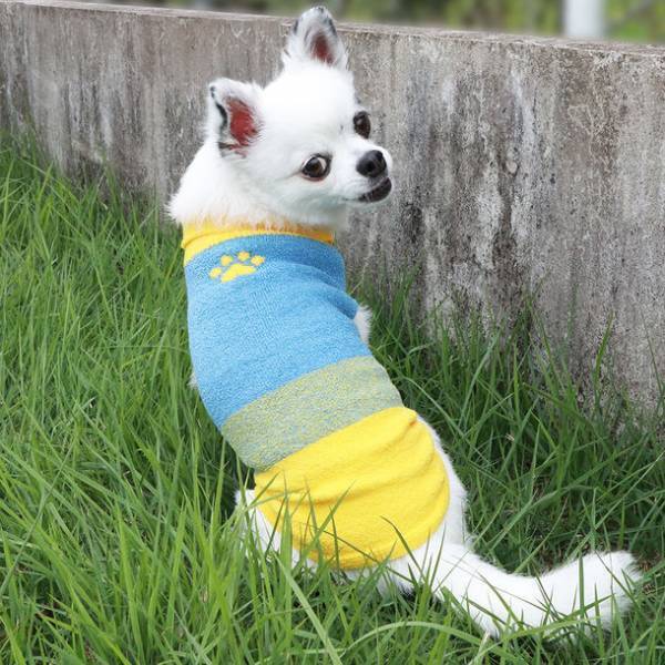 シルクドッグウェア[COCO×SILK]を展開する長谷川商店、ペットイベント「わんにゃんドーム 2023 in 名古屋」に初出店！