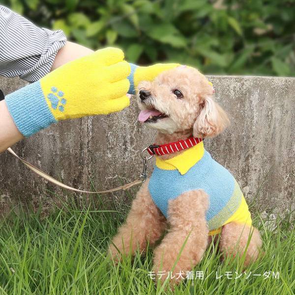 シルクドッグウェア[COCO×SILK]を展開する長谷川商店、ペットイベント「わんにゃんドーム 2023 in 名古屋」に初出店！