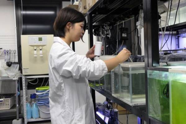 ＜新発売＞新原料の研究成果が、“あの悩み”を解決するSDGs視点も取り入れた業界初の昆虫原料配合メダカ用フレークフード