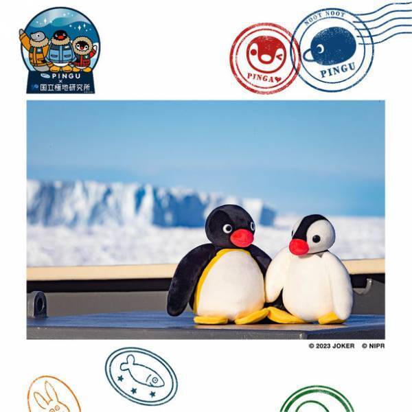 1月29日は南極・昭和基地開設の日！南極生まれのペンギン「ピングー」　国立極地研究所創立50周年記念特別アンバサダー就任！