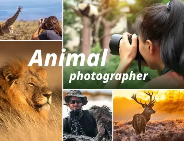 映画／映像の専門学校が動物カメラマンを育成する専門コースを2024年4月に開講