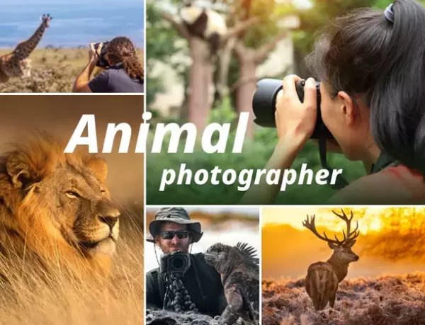 映画／映像の専門学校が動物カメラマンを育成する専門コースを2024年4月に開講