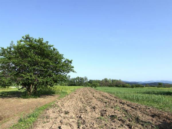 モアオーガニック品質の「ぷろろ健美堂」10周年の節目　『白樺化粧水』が「サステナブルコスメアワード 審査員賞」受賞