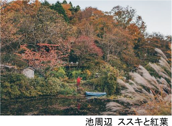 ROKKO森の音ミュージアム2023年度年間スケジュール＆SIKIガーデン見どころをご紹介！