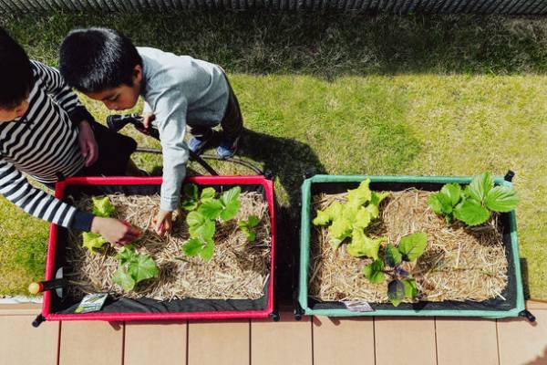＜和歌山県海南市 ふるさと納税＞　タカショーの人気ブランド「ひかりノベーション」「VegTrug」などをふるさと納税の返礼品として1月12日(木)より順次掲載開始