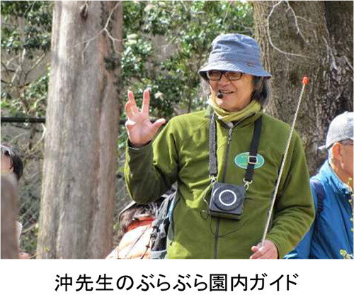 【六甲高山植物園】 2023年3月18日（土）春の訪れとともにシーズンOPEN！