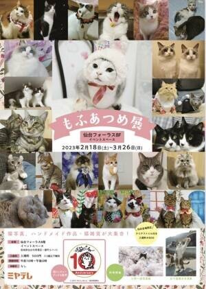 猫写真展「もふあつめ展」が宮城県の仙台フォーラスで2月18日(土)～3月26日(日)に開催！猫写真や猫作品約600点が大集合