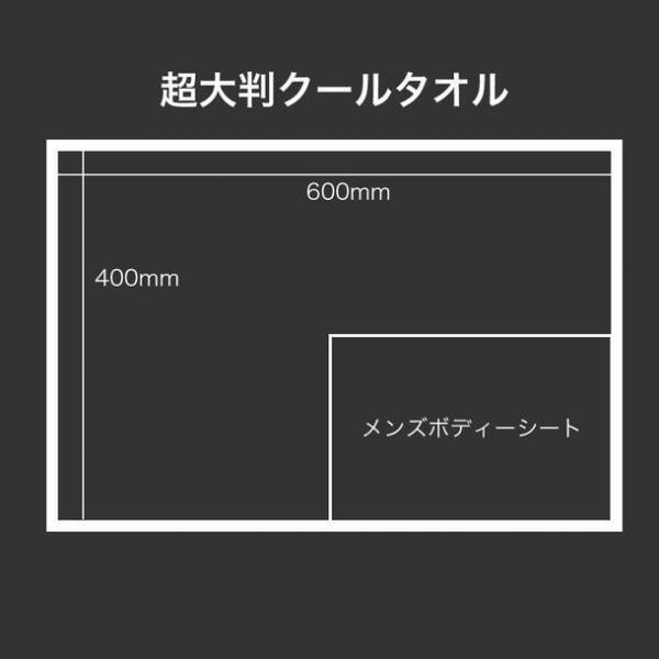 従来の4倍サイズ、超大判メンズボディシート「暑さも！ニオイも！一凍涼断！」を3月1日新発売