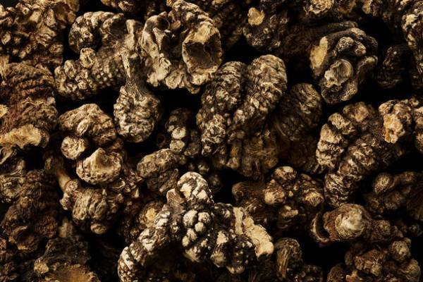 生薬・センキュウ配合 体を芯から温める生薬薬湯入浴剤【JIKKO(じっこう)】のブランディングデザインを全面サポート