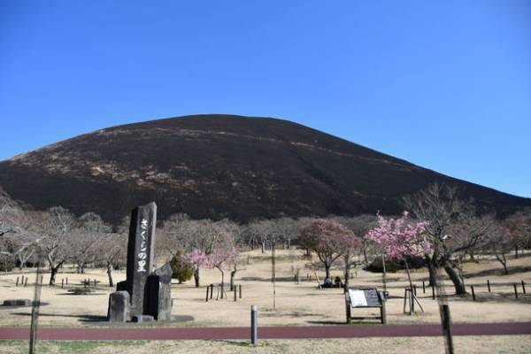 一年に一度しか見られない！伊東の春の風物詩「大室山山焼き大会」2月12日(日)開催