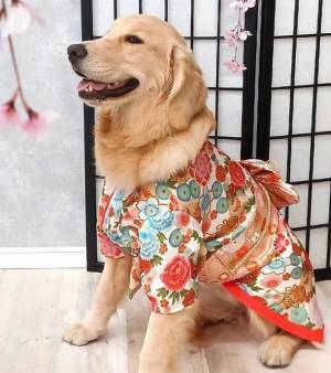 愛犬・愛猫のひなまつり祝いに向けて着物風ペットウェアに新色となる3色を追加！