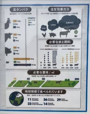カーディーラーの千葉スズキ販売より、バレンタインに向けてチョコレート味の昆虫食「チョコシルクワーム」が1月26日発売！