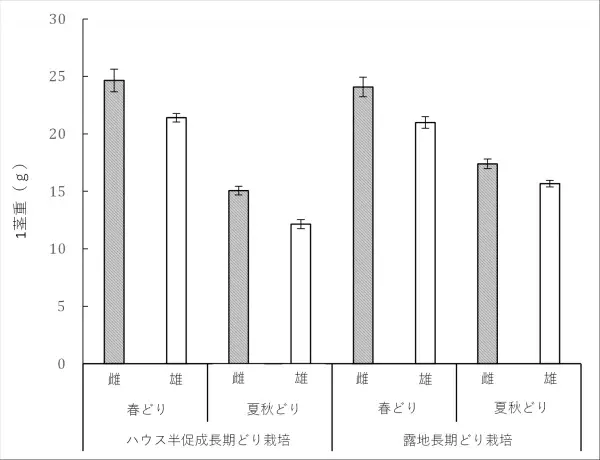 アスパラガスの雌雄間差を日本の主要な3つの作型で比較雌株は雄株に比べて太いアスパラガスを収穫できることが判明