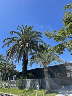 犬カフェからはじまる地域の賑わいづくり「セラピー犬とふれ合えるカフェ カタノダプラス」2月4日 再開