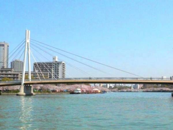 水都大阪の春を巡る「アクアライナー 大阪城お花見クルーズ」の予約受付を2月1日（水）より開始！