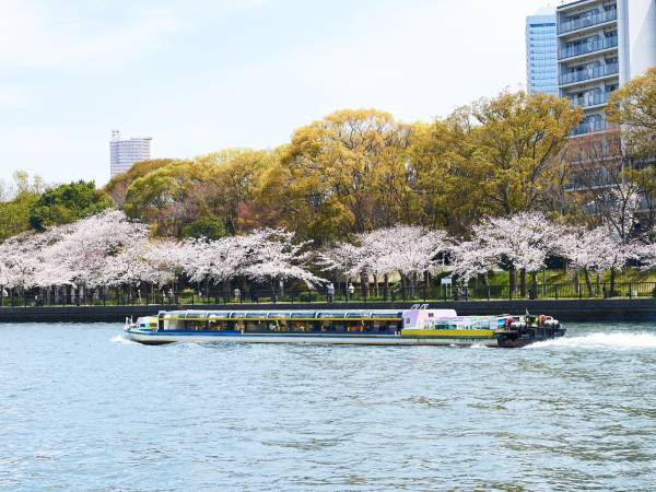 水都大阪の春を巡る「アクアライナー 大阪城お花見クルーズ」の予約受付を2月1日（水）より開始！