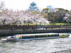 水都大阪の春を巡る「アクアライナー 大阪城お花見クルーズ」の予約受付を2月1日（水）より開始！