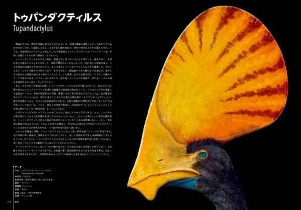 『ナショナル ジオグラフィック世界一美しい恐竜図鑑』発売中！