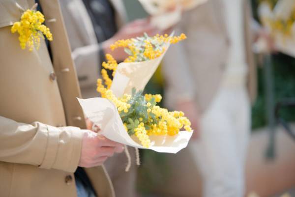 『MIMOSA FESTA 2023』2月10日(金)～3月12日(日)開催　川島海荷さんをミューズに迎え、川崎駅前大型9商業施設連動で街をミモザイエローに彩ります