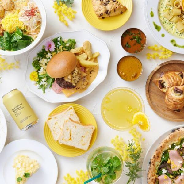 『MIMOSA FESTA 2023』2月10日(金)～3月12日(日)開催　川島海荷さんをミューズに迎え、川崎駅前大型9商業施設連動で街をミモザイエローに彩ります