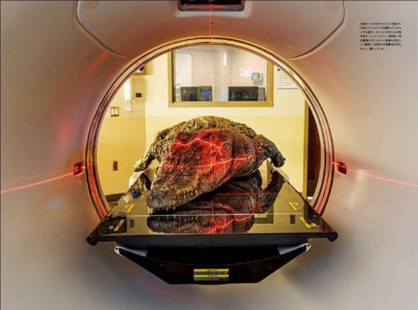 ビジュアル書籍『新説・恐竜　塗り替えられたその姿と生態』発売中！