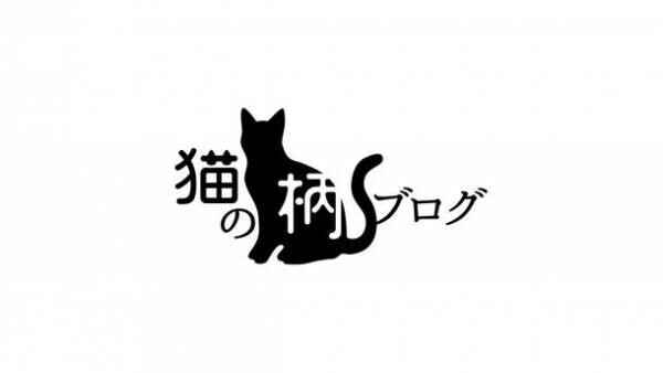 猫さん好きへの情報発信Webメディア『猫の柄ブログ(R)』を開設