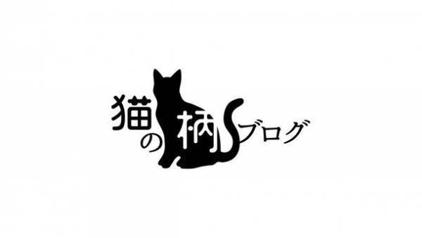 猫さん好きへの情報発信Webメディア『猫の柄ブログ(R)』を開設