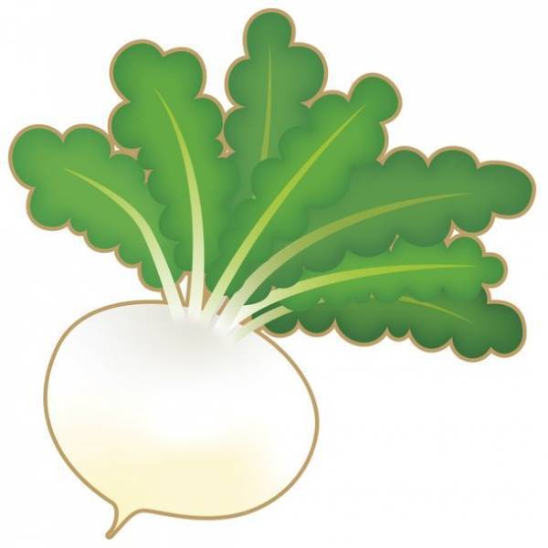 ～小さな直売所の20年分の恩返し～生産者プレゼンツ！道の駅錦くらんど市20周年創業祭「くらんどつながる市」in道の駅錦(熊本県錦町)2/19(日)開催！