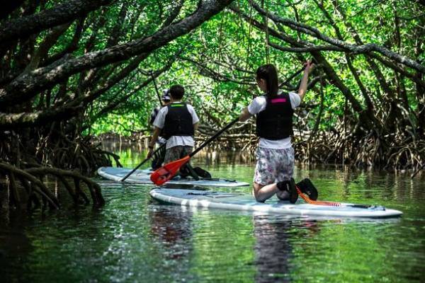 石垣島をお得に楽しめる“春先取り＆穴場シーズン”トクトクキャンペーンを2月15日(水)～3月15日(水)に実施！宿泊料金 最大50％オフ